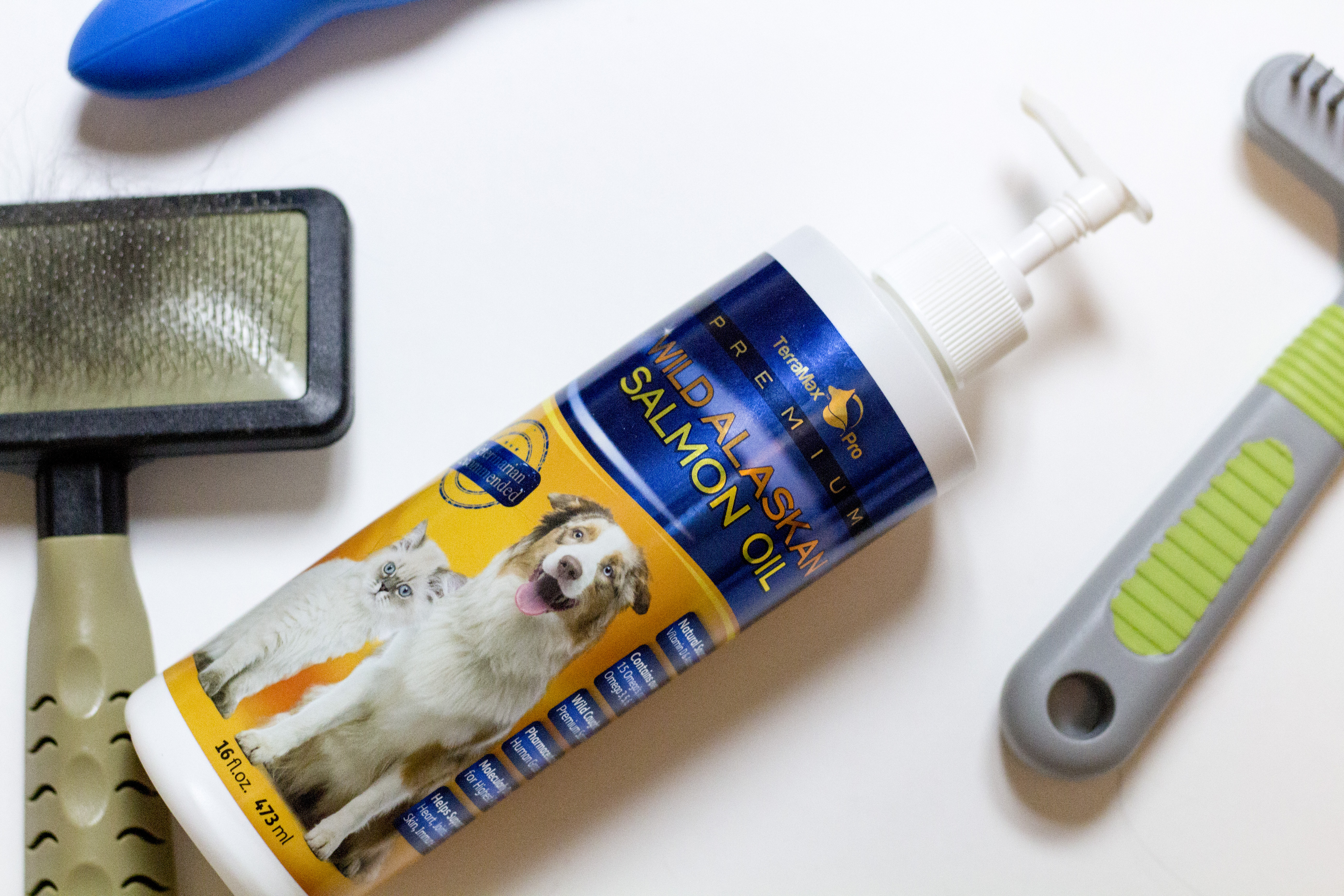 How to Groom a Dog with a Dual Coat