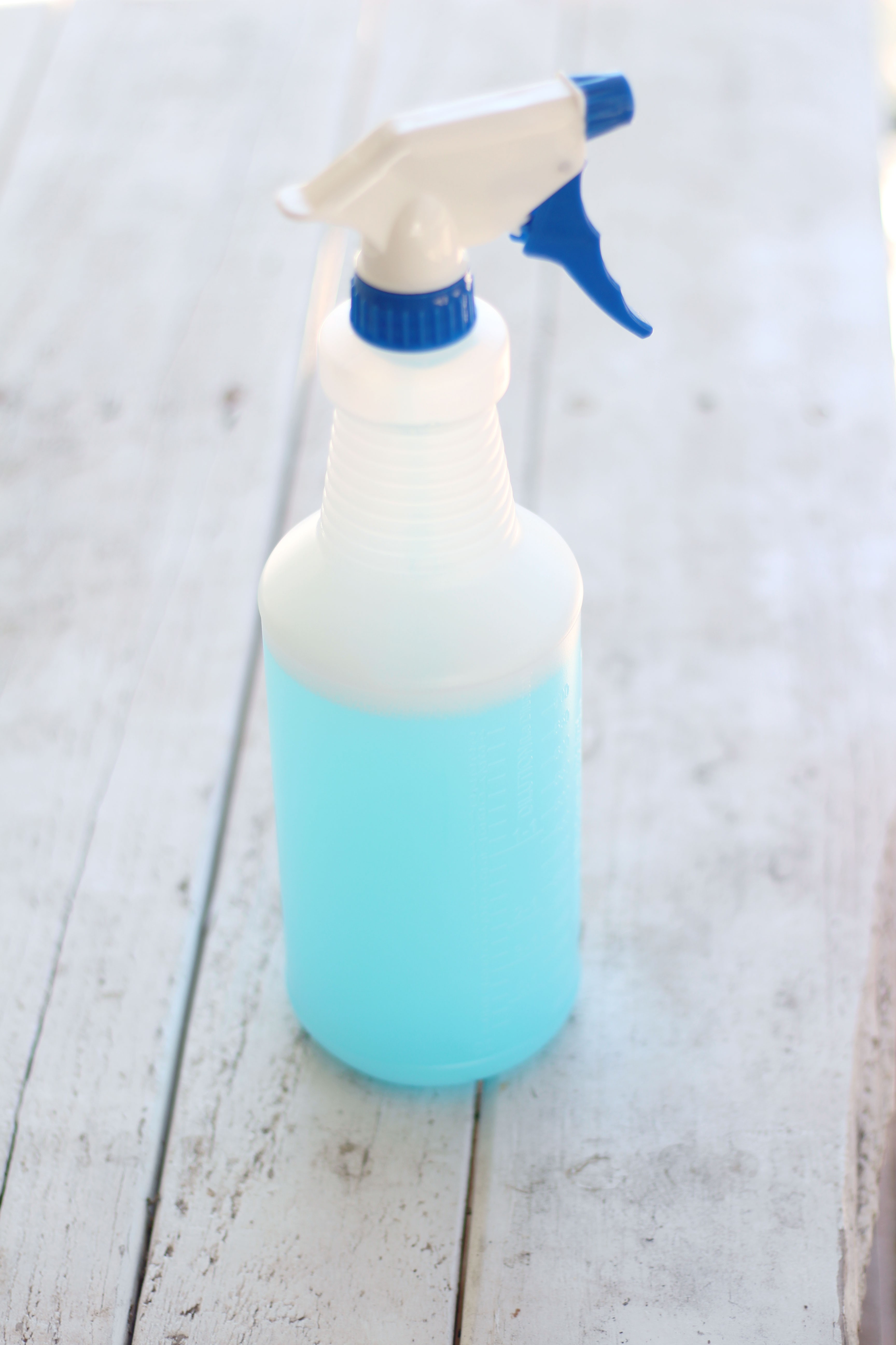 DIY Carpet and Upholstery Cleaner