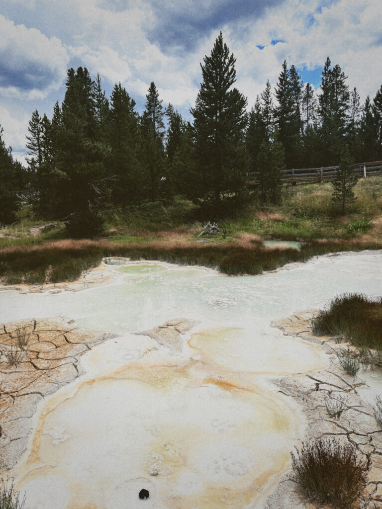 View of colorful bubbling mud in the Fountain Paint Pot thermal area at Yellowstone National Park